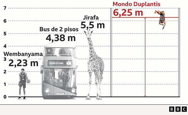 Chart showing how high Duplantis jumped compared to a giraffe, a double-decker bus and basketball player Wembanyama