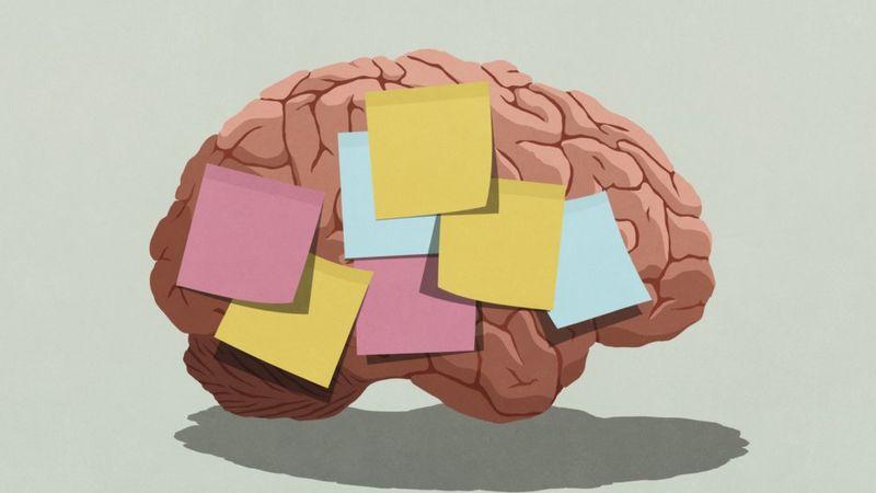 Ilustração de cérebro