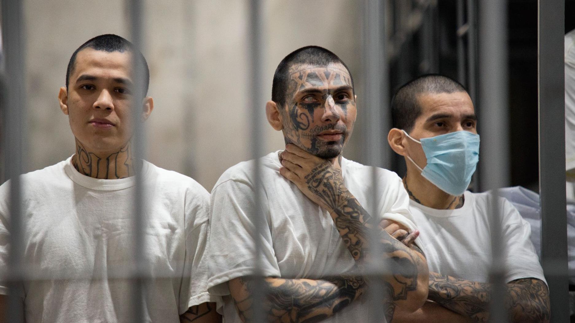 Tres reclusos con tatuajes, tras las rejas en la cárcel Cecot, El Salvador