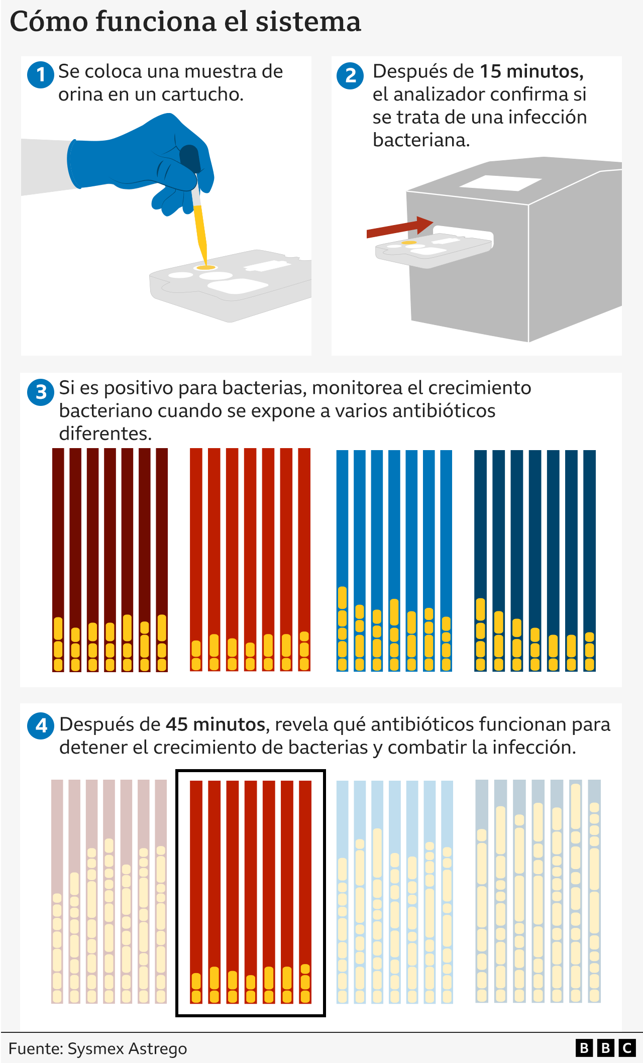 Cómo funciona