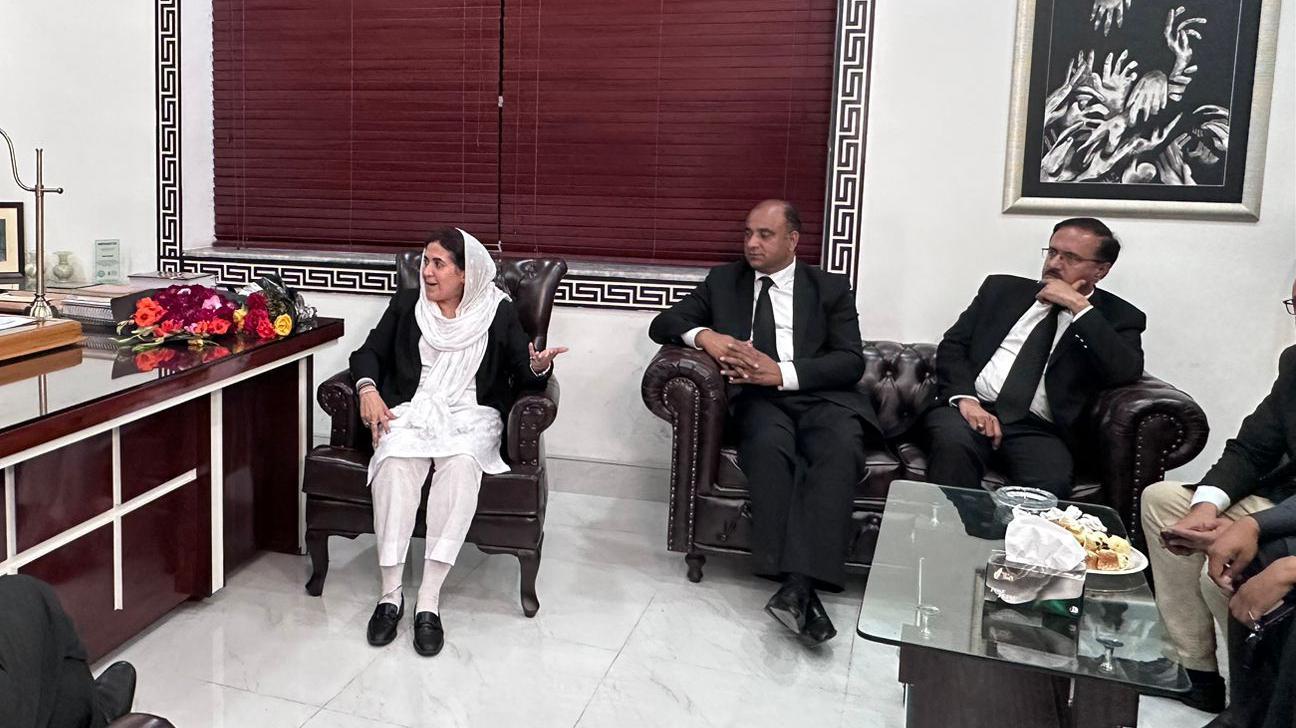 صباحت رضوی