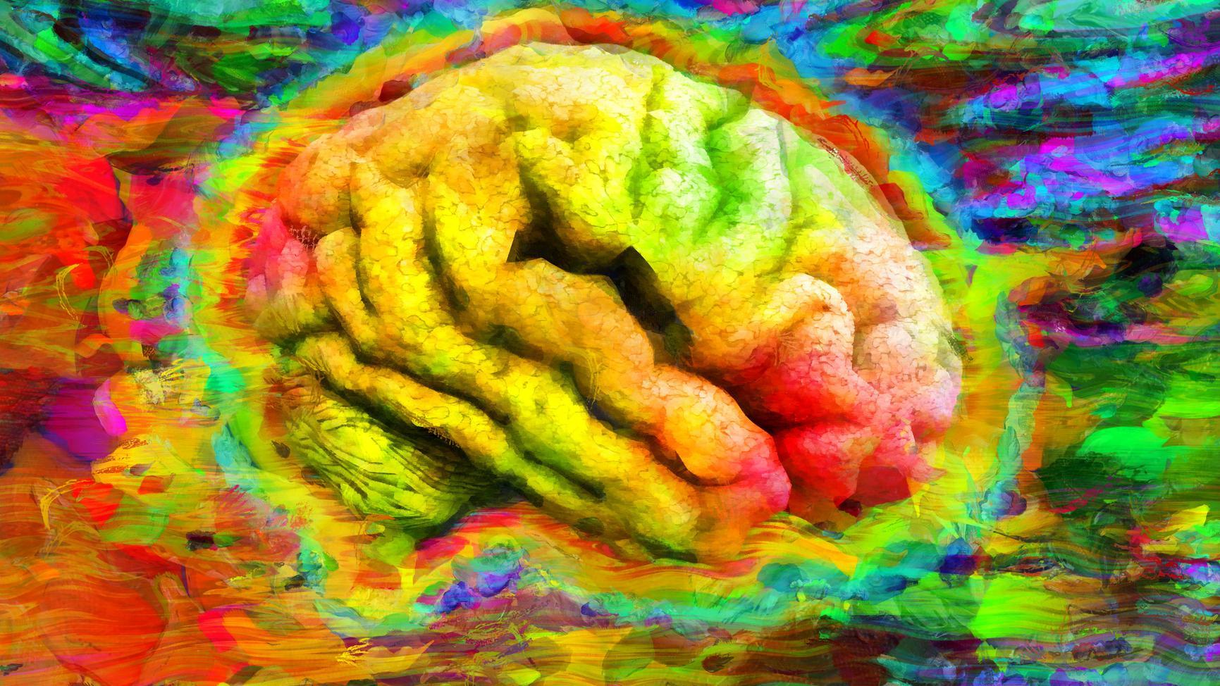 Cerebro de colores