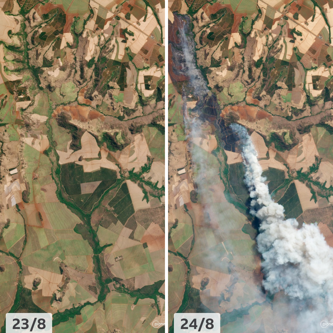 Imagens de satélite mostram campos agrícolas cheios de fumaça no município de Altinópolis (SP)