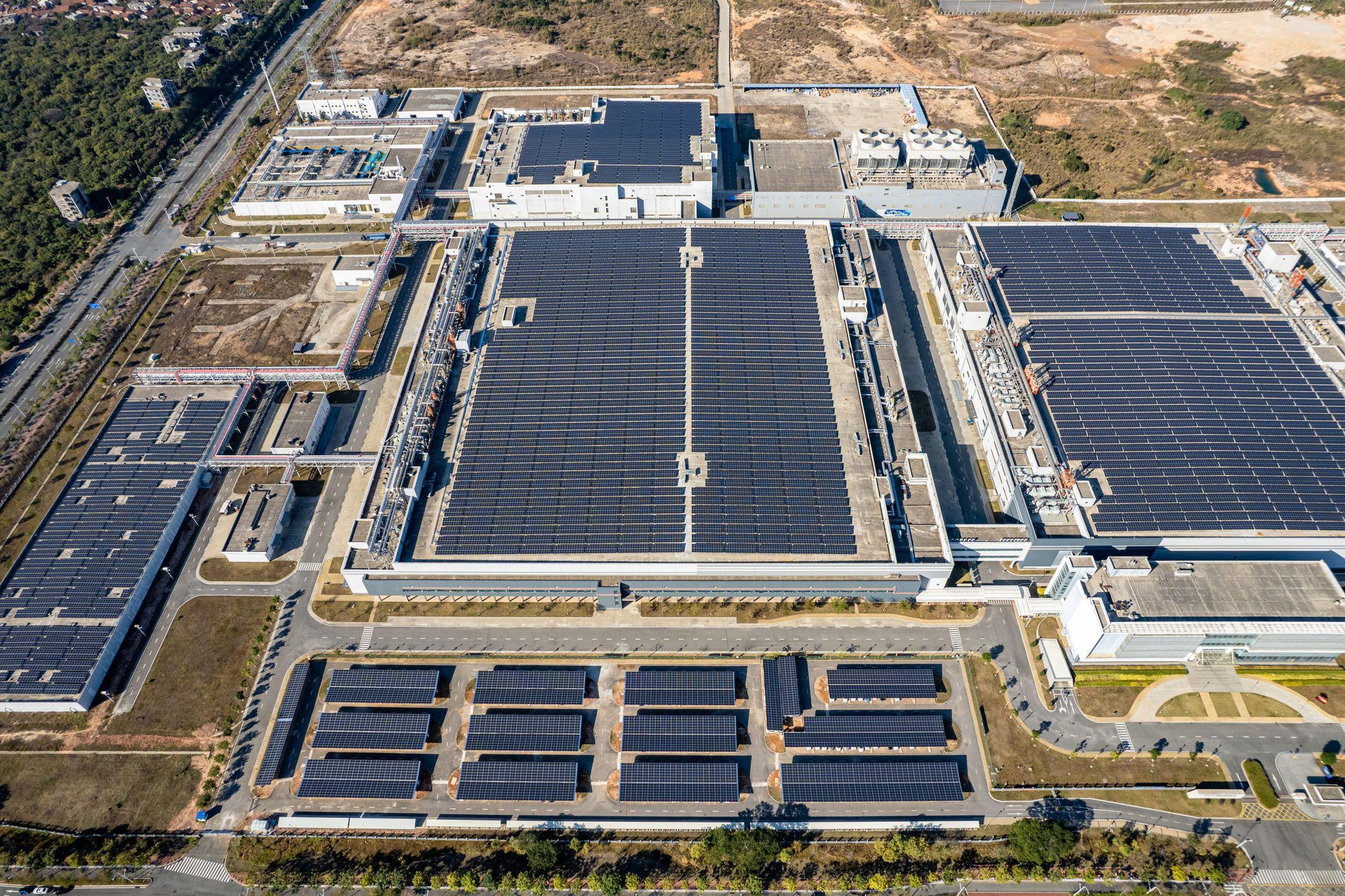 Una planta usando energía eléctrica