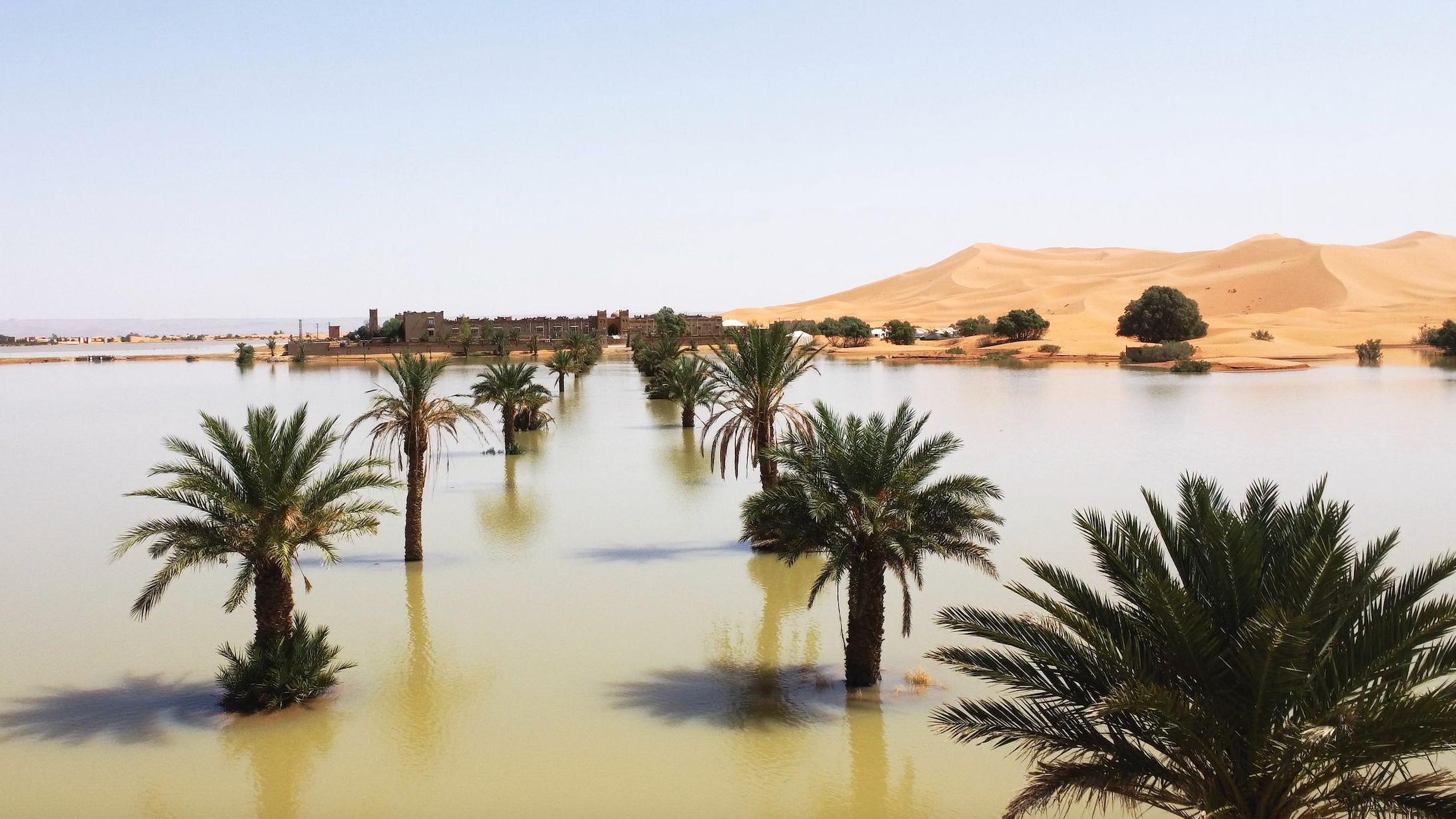 The Sahara Desert in south-east Morocco pictured after a year's worth of heavy rainfall