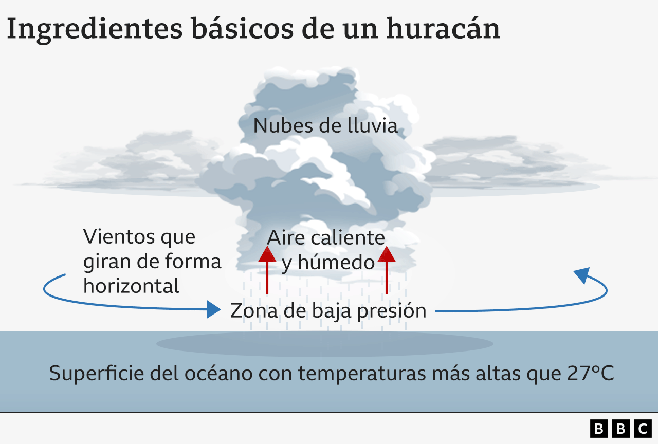 Infografía sobre la formación de huracanes