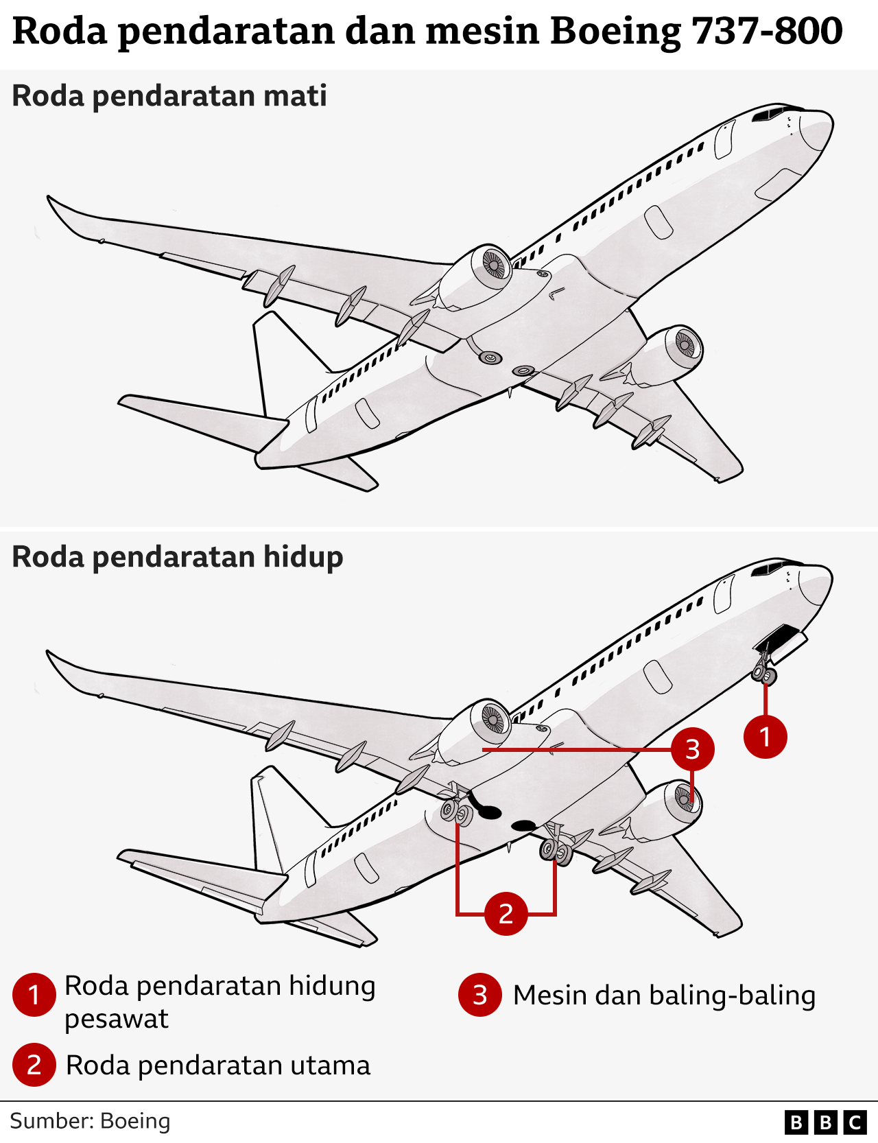 roda pendaratan Jeju Air, Boeing 737-800