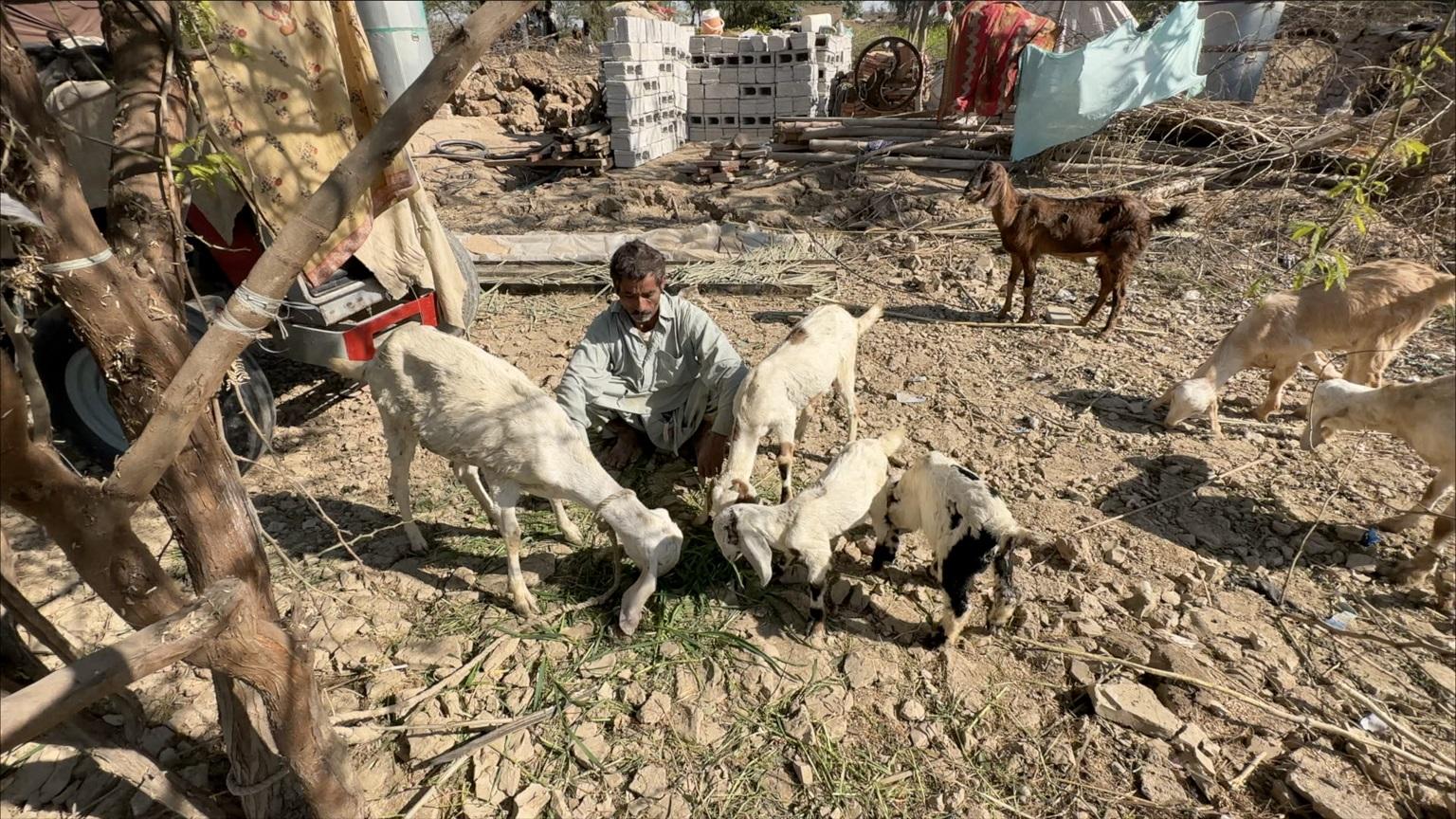 سیلاب