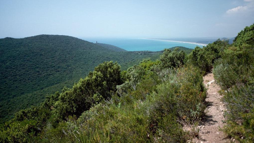 Parque Regional de Maremma