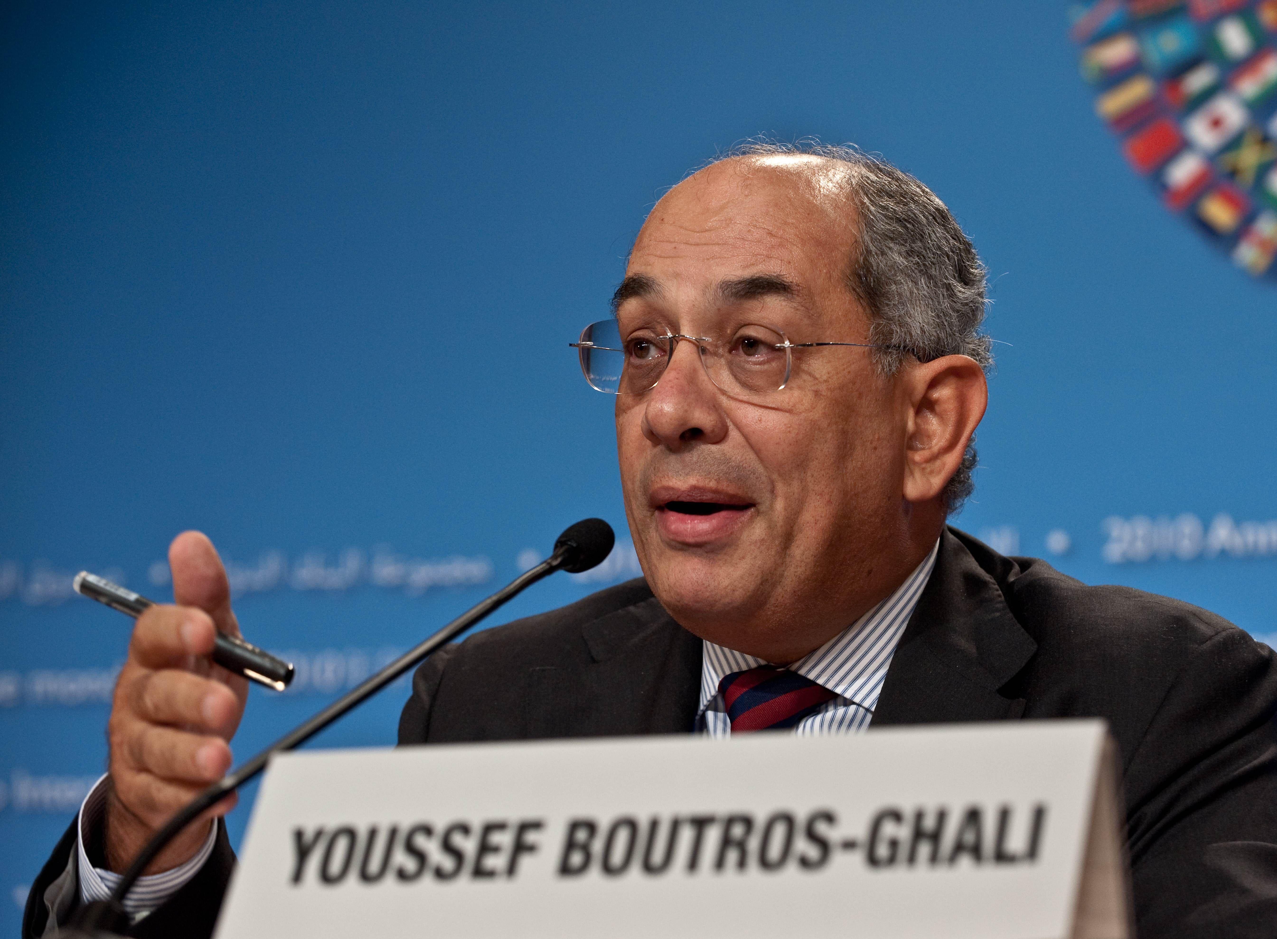 أصدر السيسي قرارا في أغسطس/آب الماضي بتعيين يوسف بطرس غالي عضوا في المجلس التخصصي للتنمية الاقتصادية، وهو مجلس استشاري يتبع رئاسة الجمهورية المصرية مباشرة