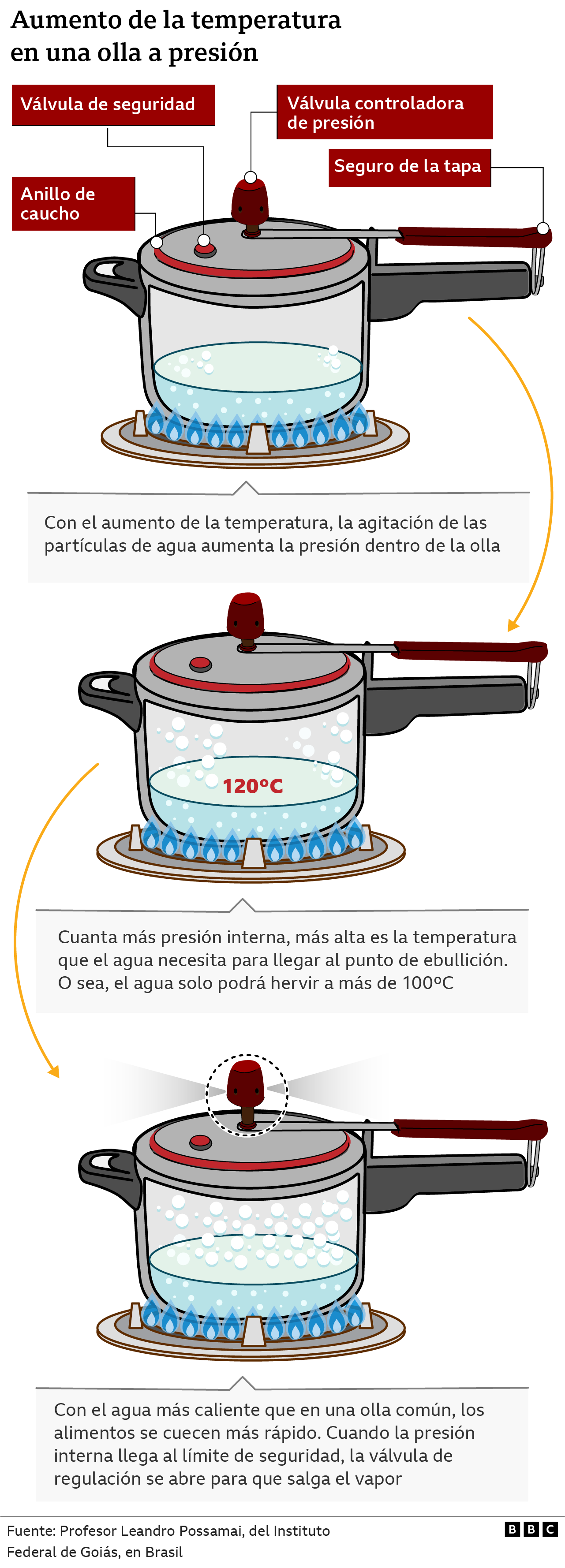 Infográfico sobre olla a presión