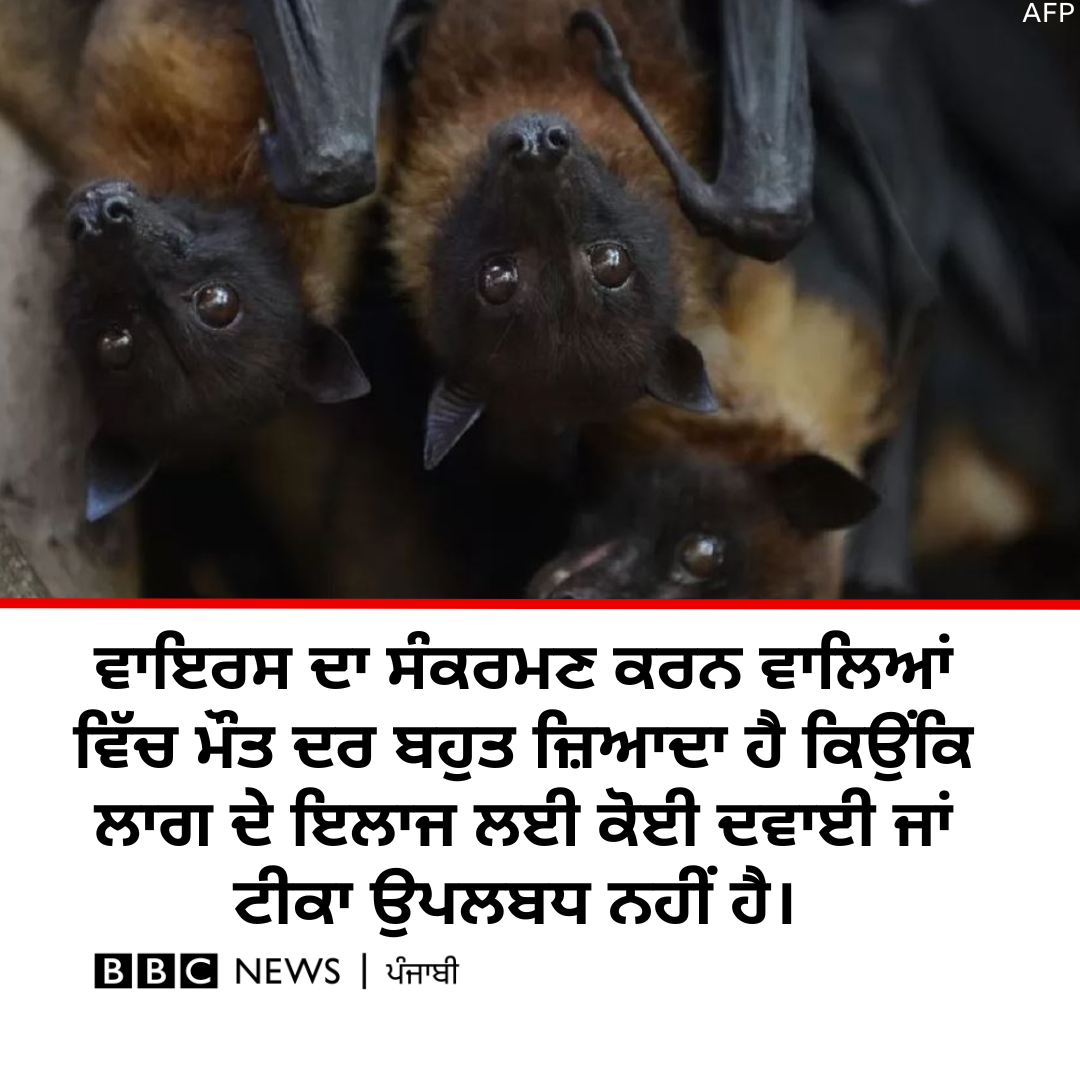ਬੀਬੀਸੀ
