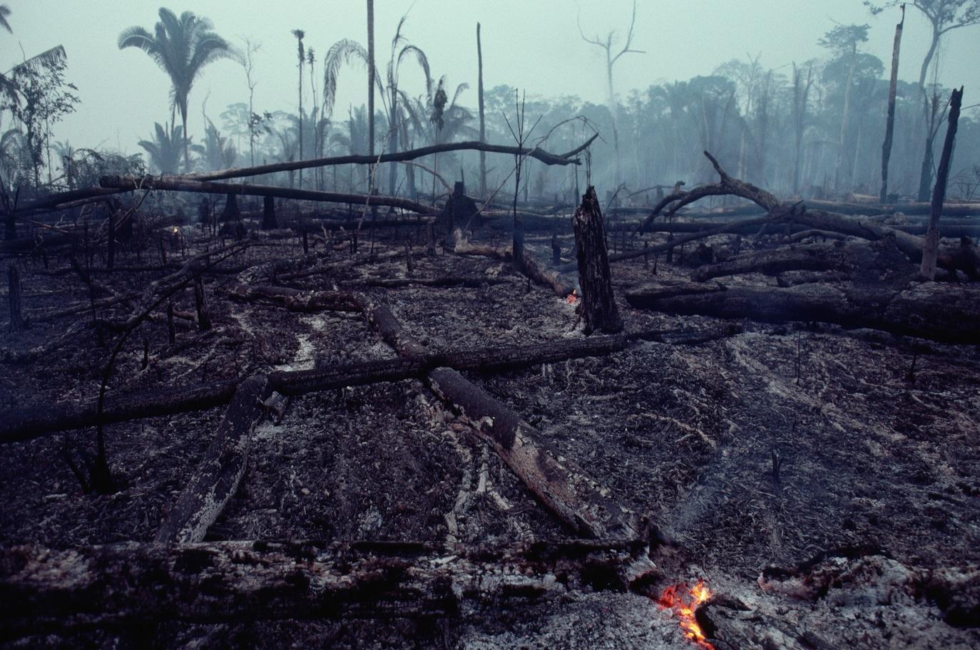 Fogo na Amazônia