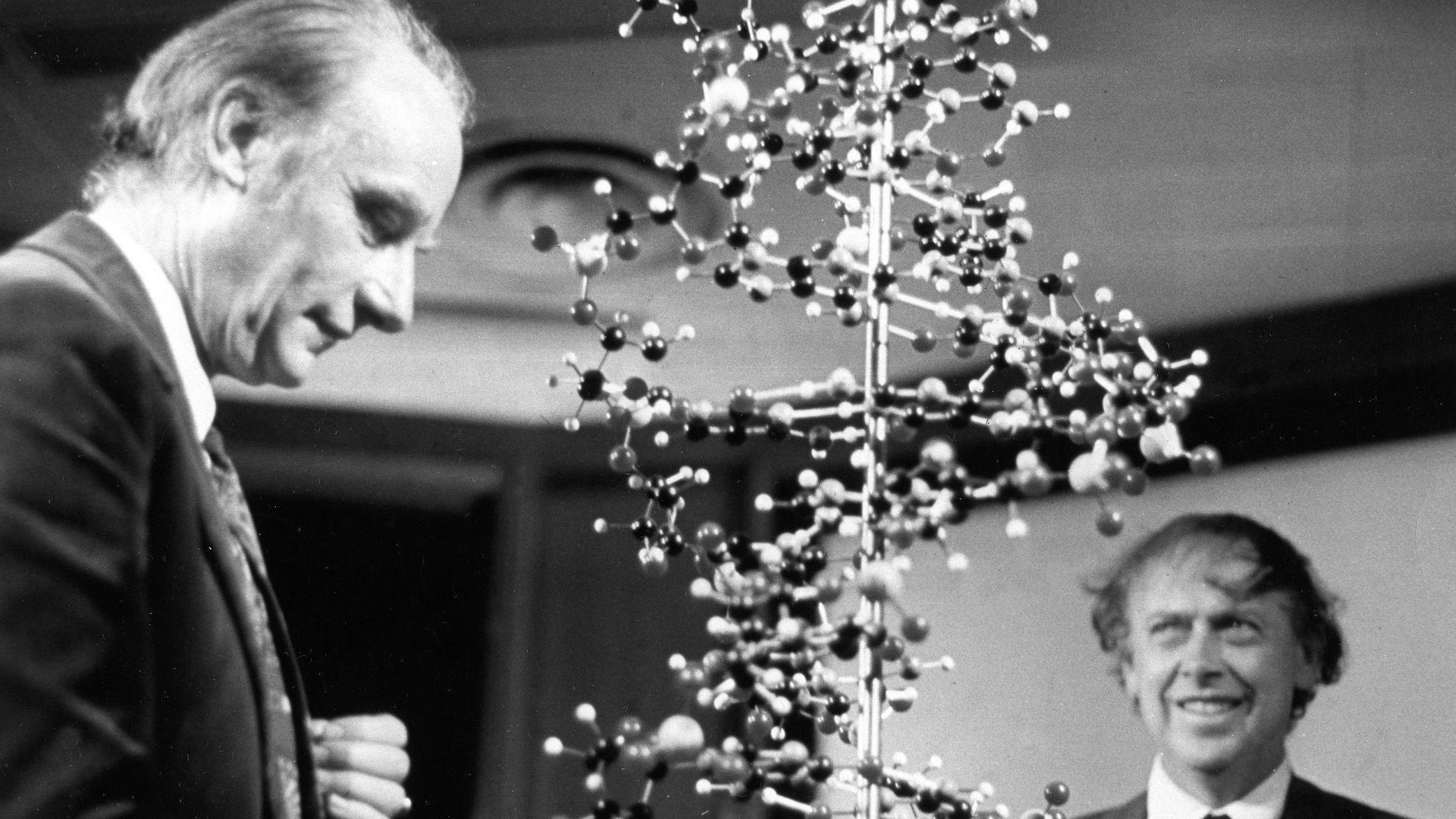 James Watson (esquerda) com um modelo de molécula de DNA ao lado de Francis Crick (direita)