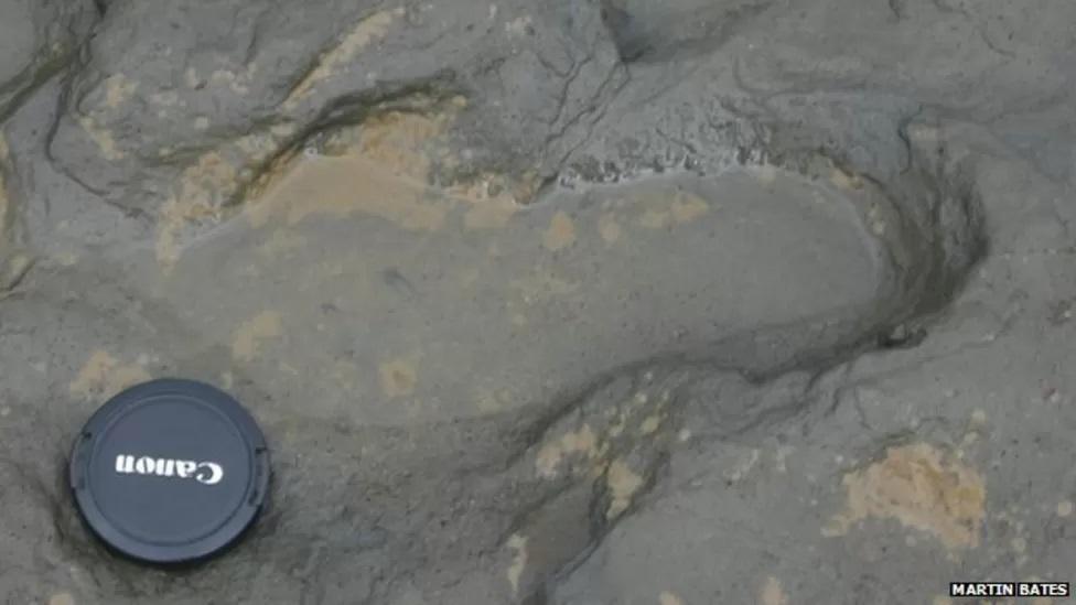 Jejak kaki manusia purba di pantai Happisburgh