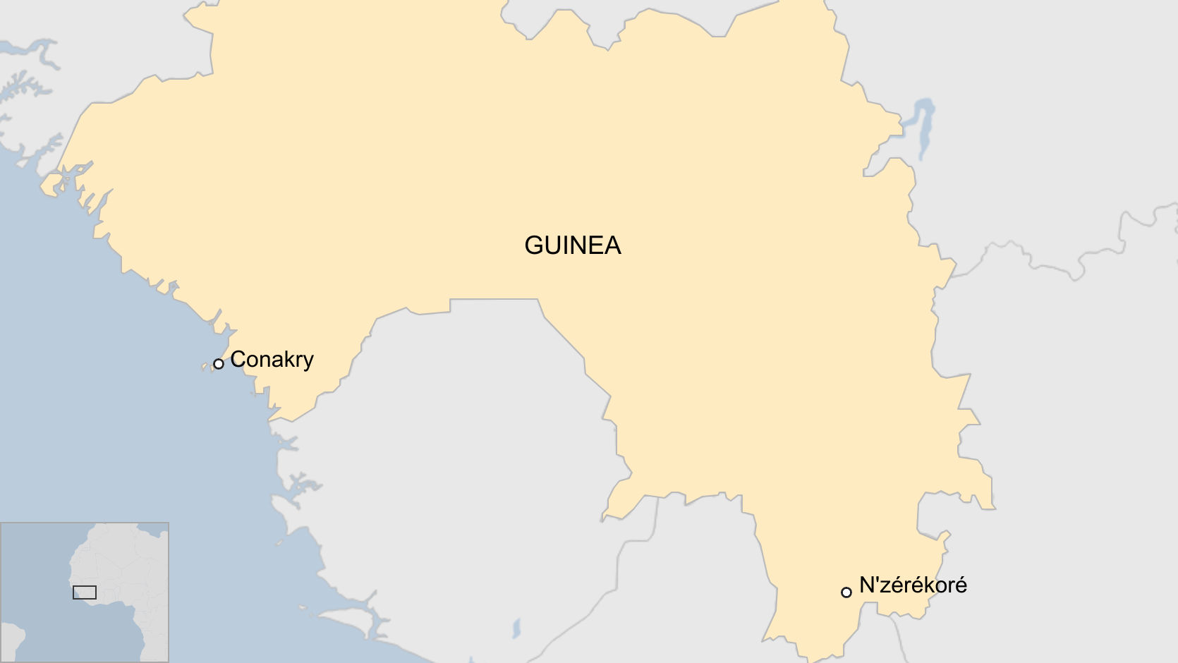 Dozens killed in crush at Guinea football match - reports