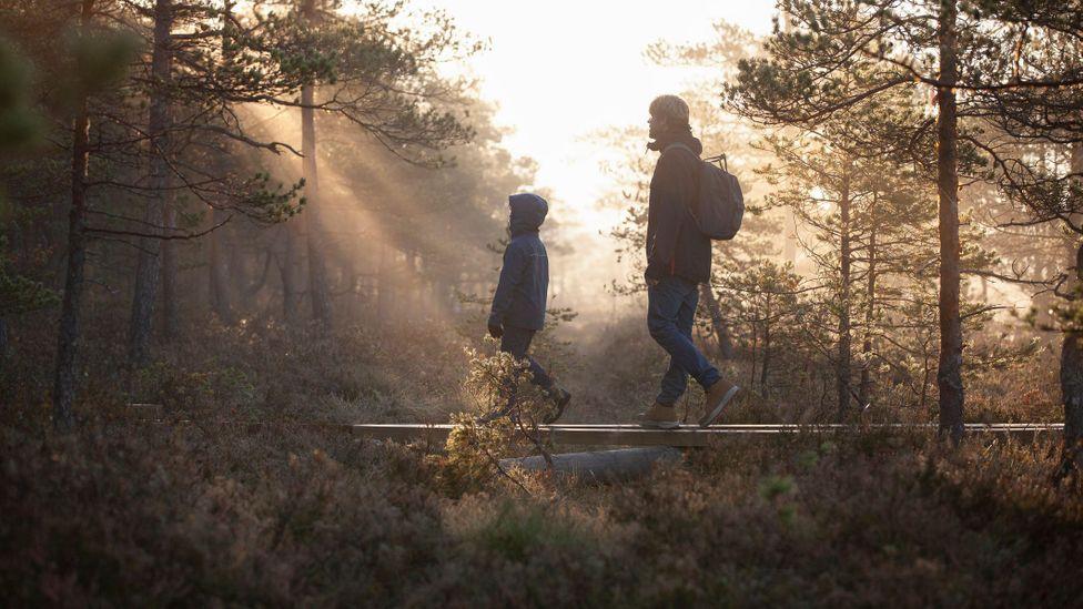 Pai e filho andando em meio à floresta na Finlândia