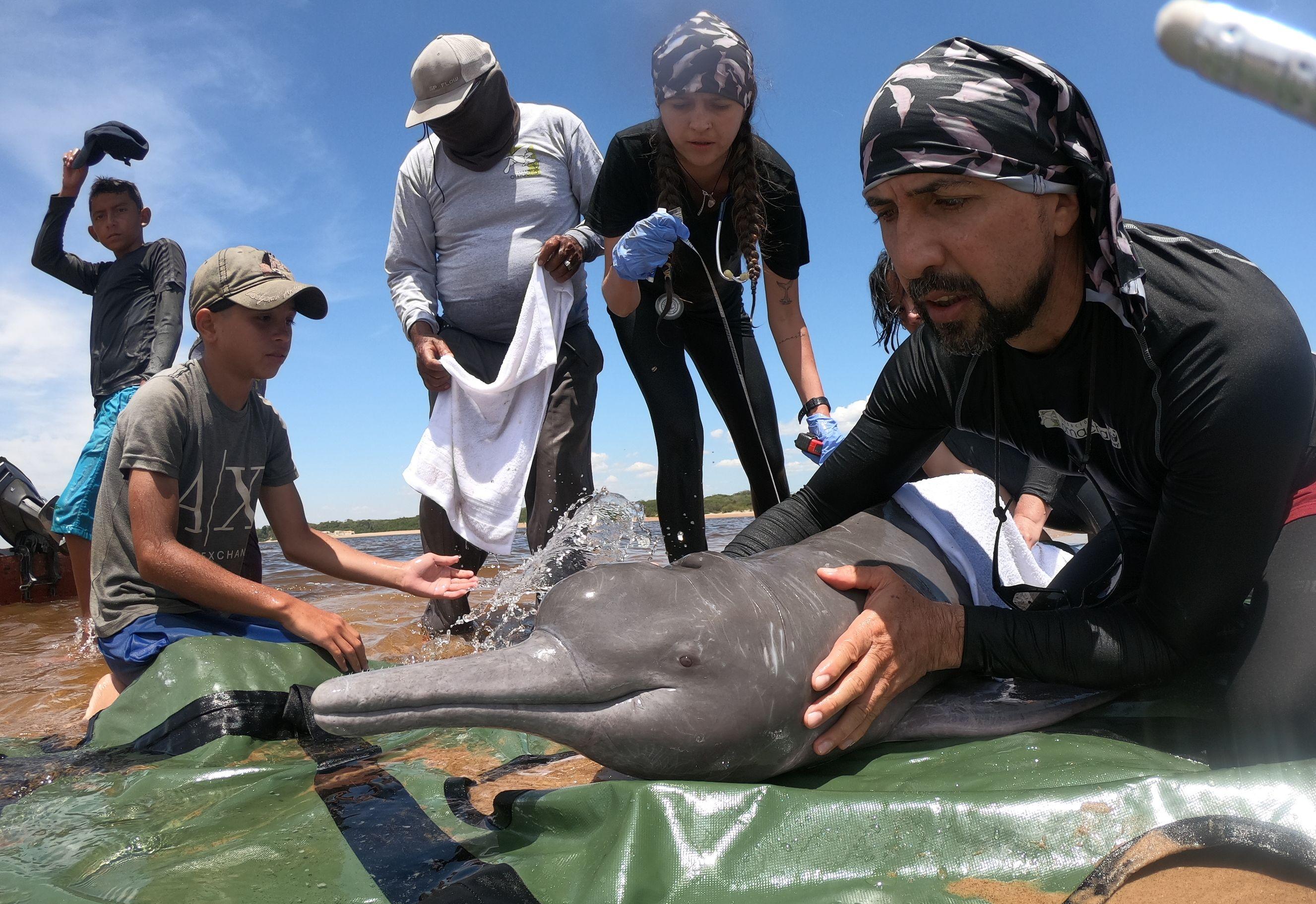 Fernando Trujillo con un delfín