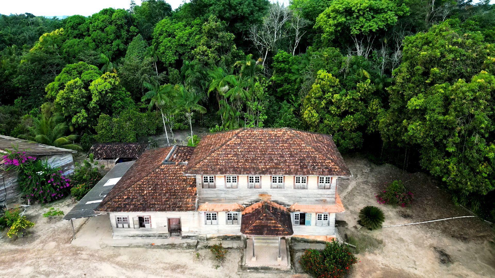 Casarão em meio a floresta