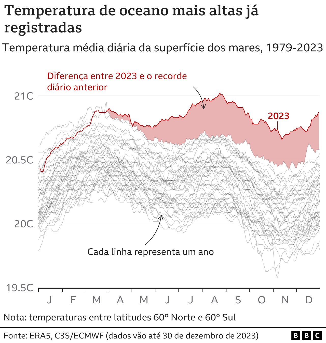 Grafico