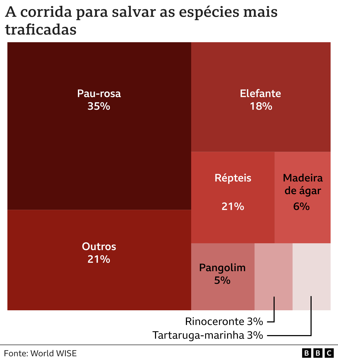 Gráfico 