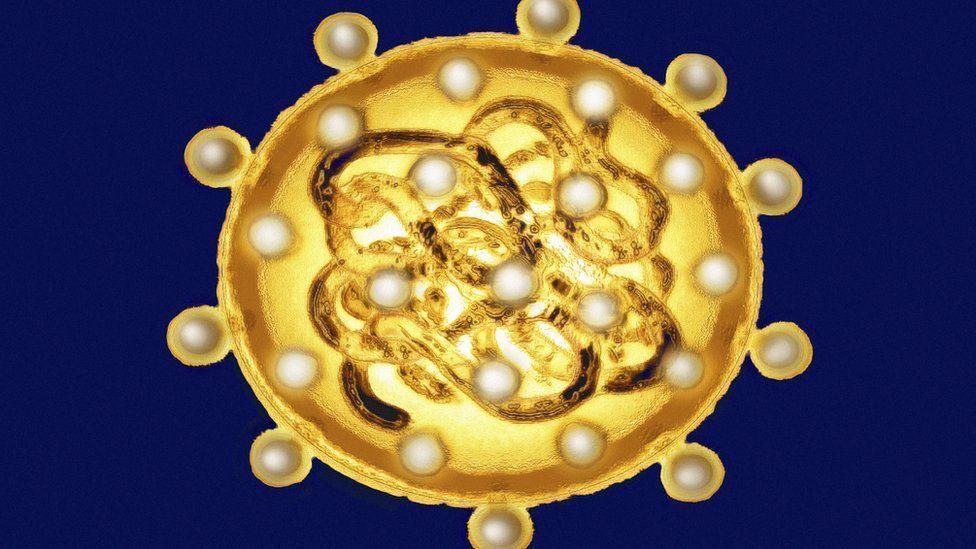 كيف تحمي نفسك من التهاب الكبد؟ 1 التهاب الكبد الفيروسي