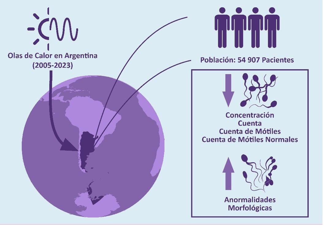 Gráfico que muestra los resultados del estudio. 