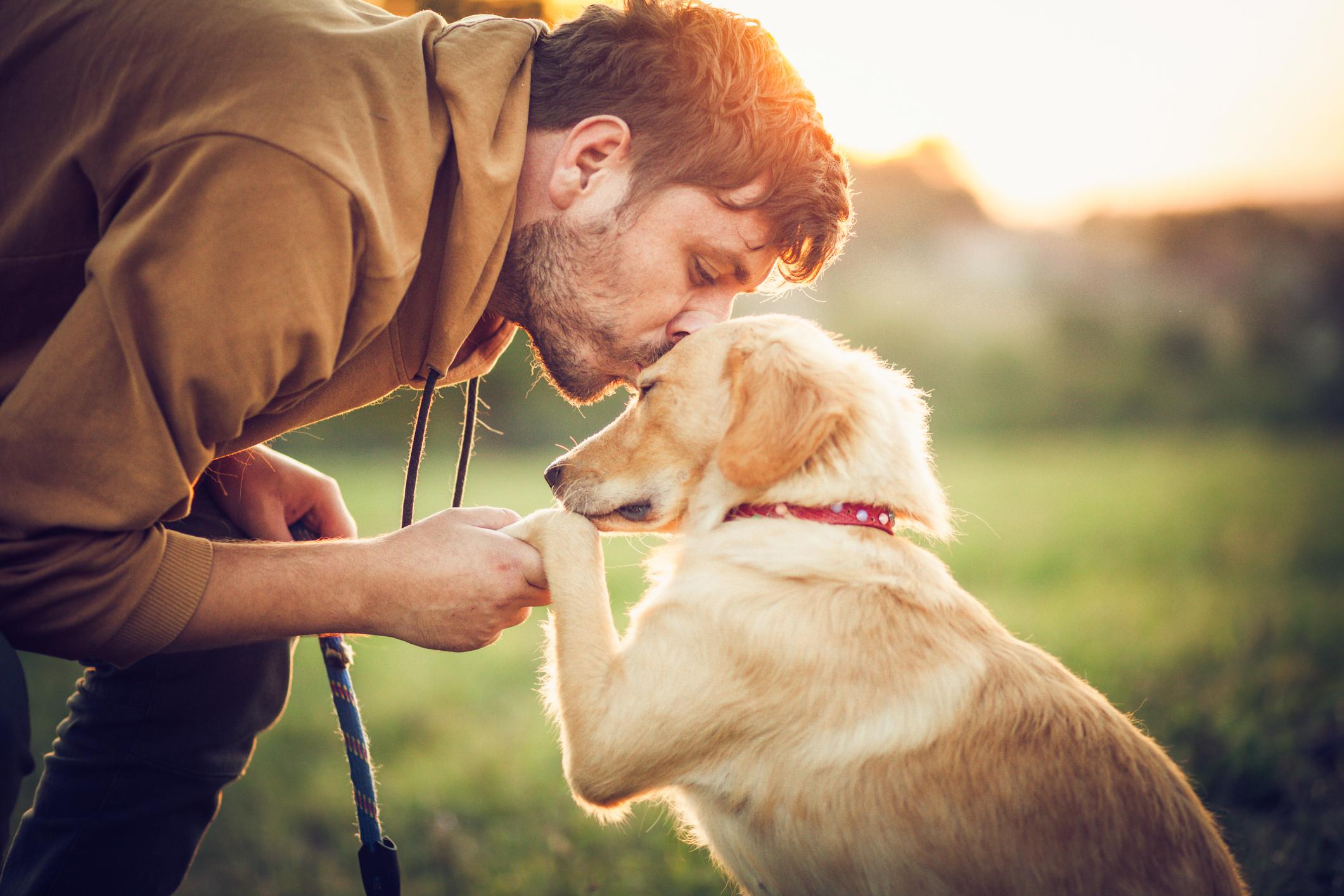 Homem beijando a cabeça do cachorro