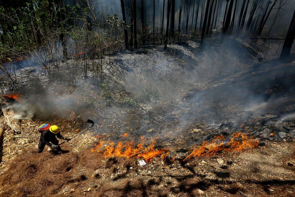 Un bombero combate un incendio forestal en el cerro El Café, en el estado Carabobo, Venezuela, el 27 de marzo de 2024. 