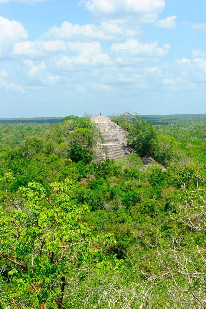 Calakmul adalah situs arkeologi Maya yang terletak jauh di dalam hutan di wilayah Cekungan Petén, Meksiko