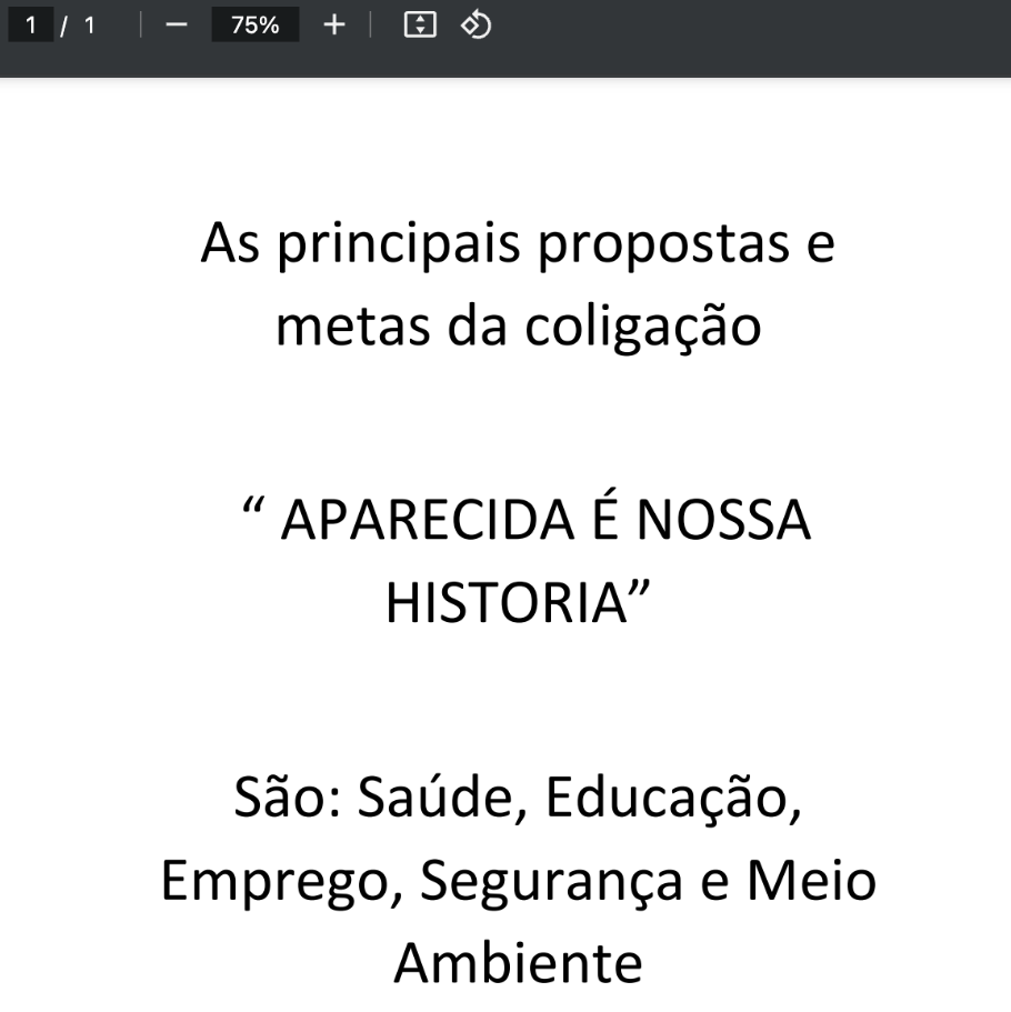 Imagem de proposta de candidato a prefeito apresentada ao TSE