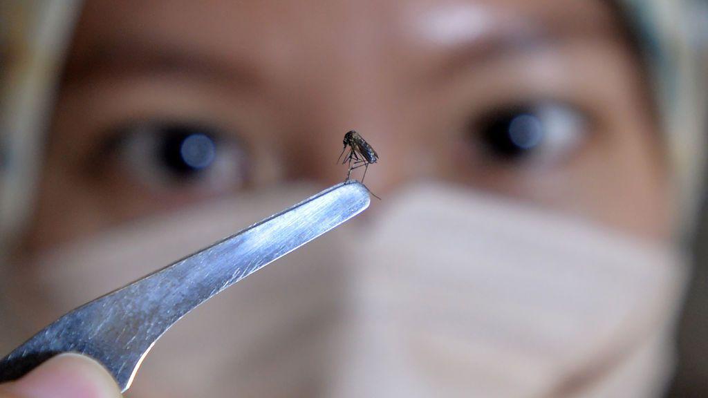 Mulher exibe mosquito na ponta de instrumento de metal