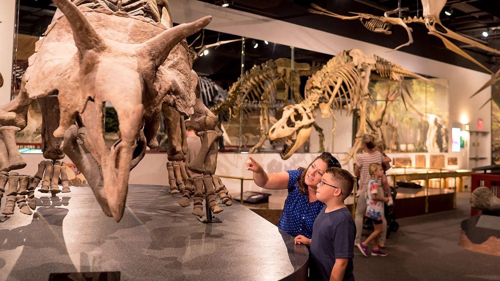 Mulher e criança vendo fósseis de dinossauros em museu