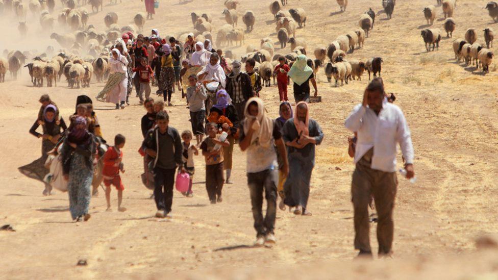 Yazidis walk accompanied by sheep fleeing the Islamic State.