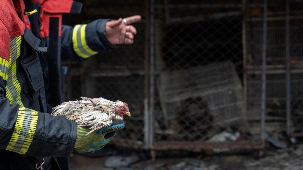 Fire at famous Bangkok market kills 1,000 animals
