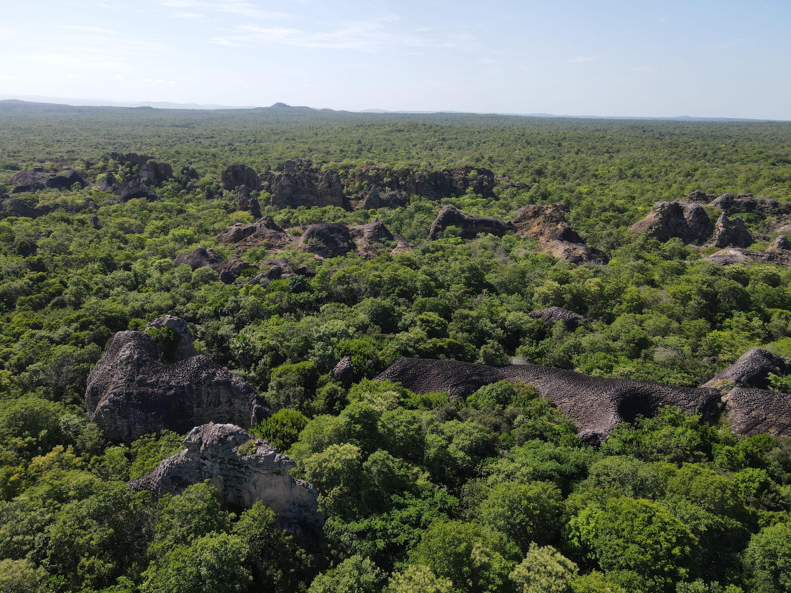 Parque Nacional de Sete Cidades, no Piauí, onde a vegetação e as formações rochosas fazem composições por toda a extensão