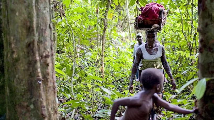 Três pessoas andando no meio da floresta