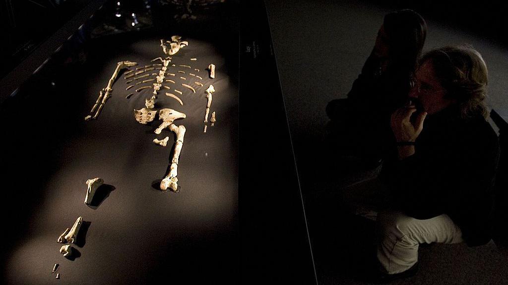 Los visitantes observan los restos fosilizados de 3,2 millones de años de "Lucy", el ejemplar más completo del homínido Australopithecus afarensis, en el Museo de Ciencias Naturales de Houston.