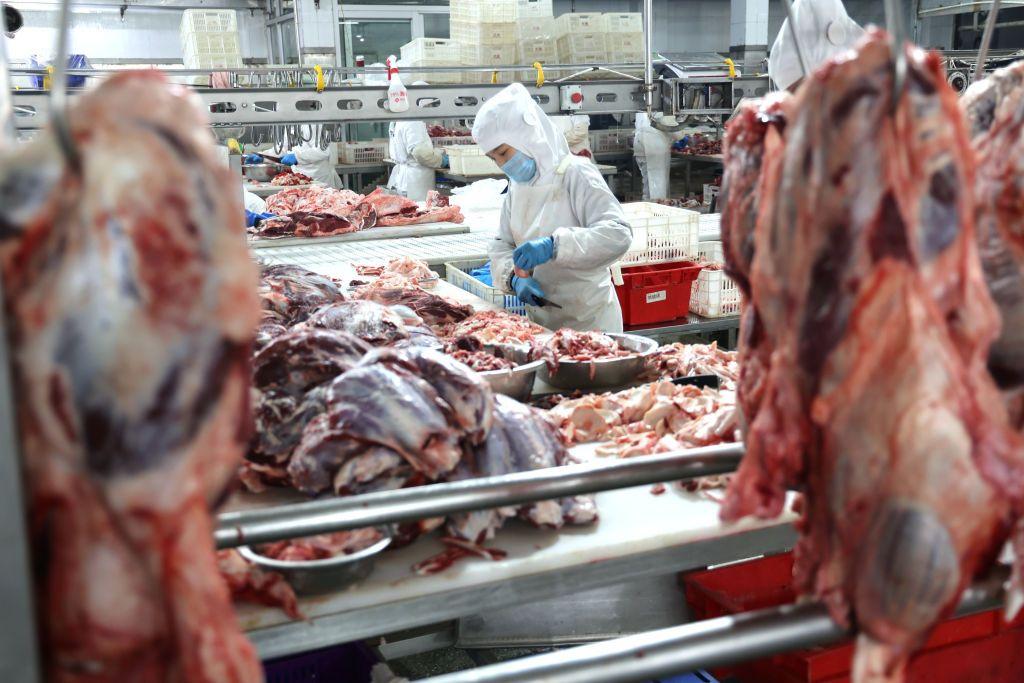 Trabalhador aparece em meio a peças de carne em frigorífico