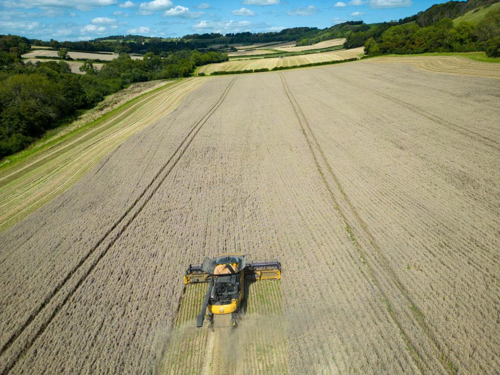 tractor transita por un campo cultivado 