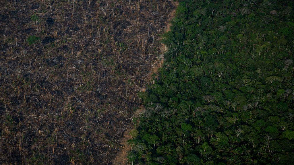 Vista aérea de área desmatada da Floresta Amazônica