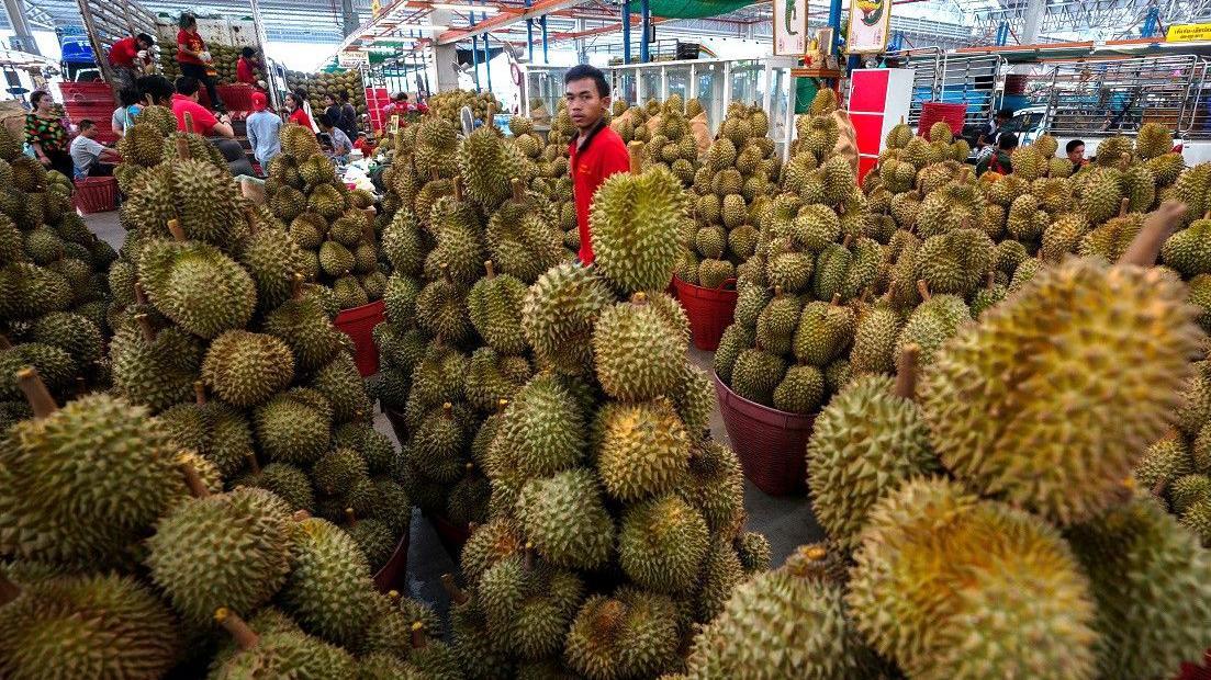 Toko durian di Bangkok