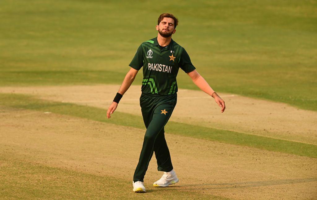 shaheen