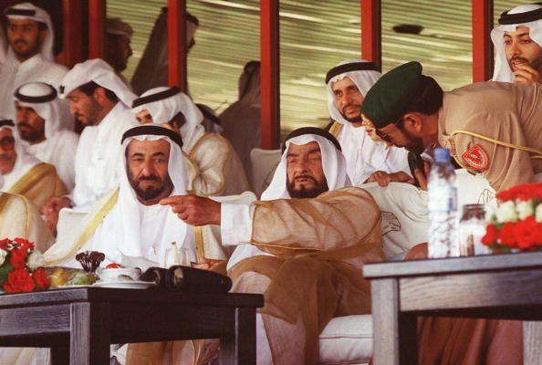 Sheikh Zayed ibn Sultan