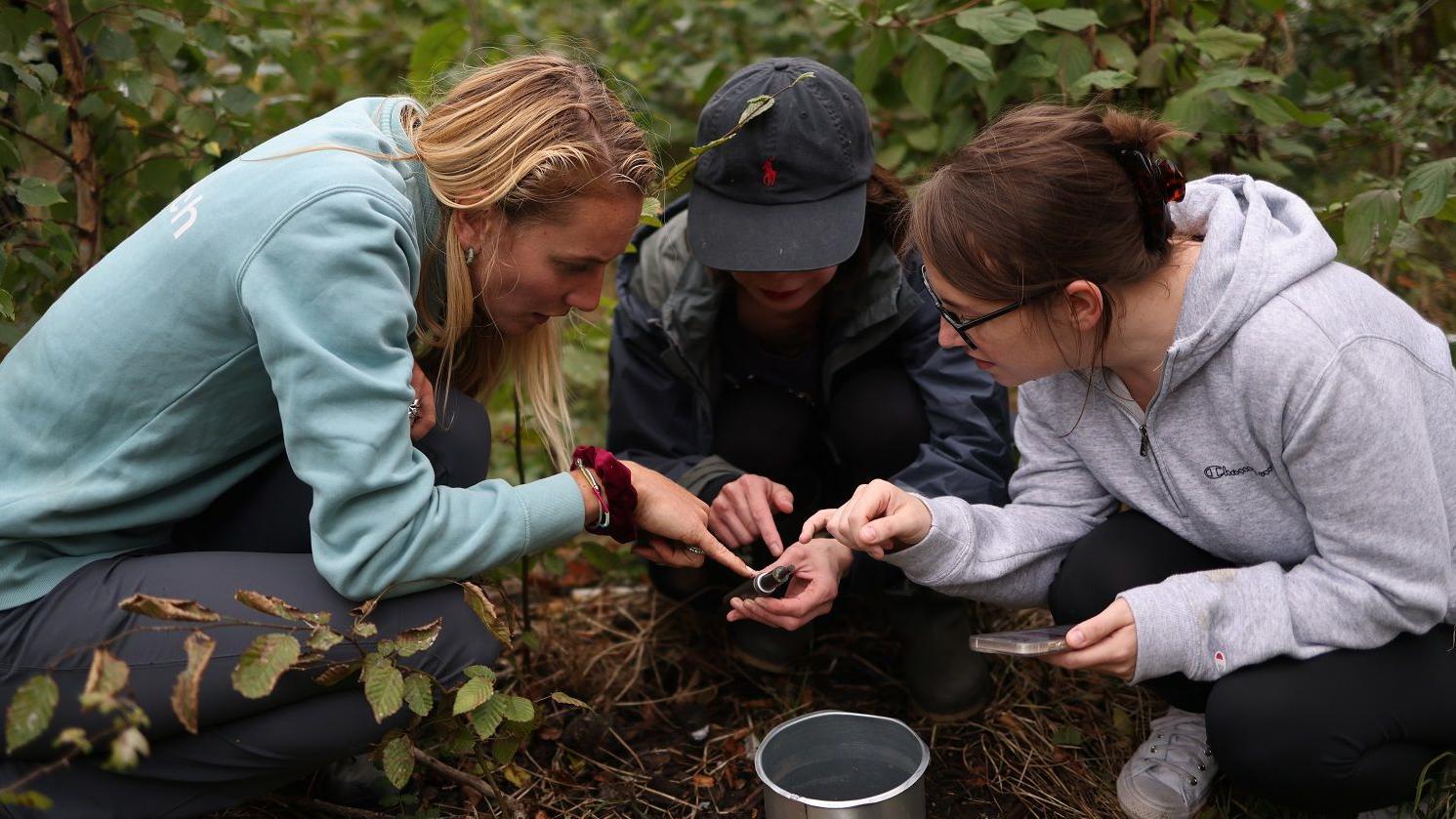 Mujeres utilizan el Método Miyawaki para plantar un bosque en Londres.