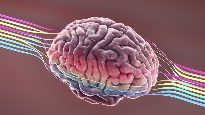 Ilustração de um cérebro perpassado por cores