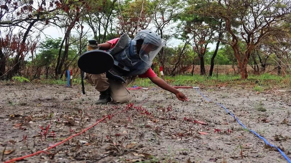 Mulher trabalhando em procurar mina