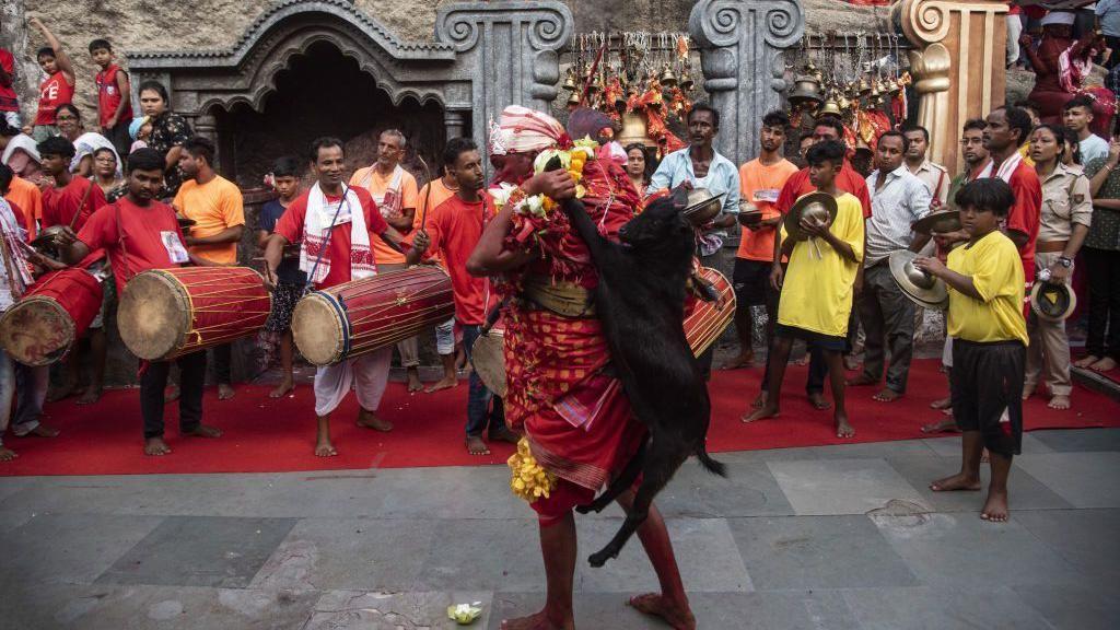 كاهن يرقص حاملاً ماعزاً على ظهره كقربان، ويرتدي زياً أحمر بنقوش، خلال مهرجان ديودهاني في معبد كاماخيا في ولاية آسام الهندية