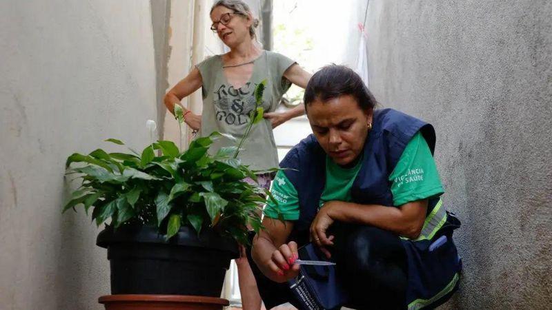 Agente de saúde examinando água encontrada em pratinho de vaso