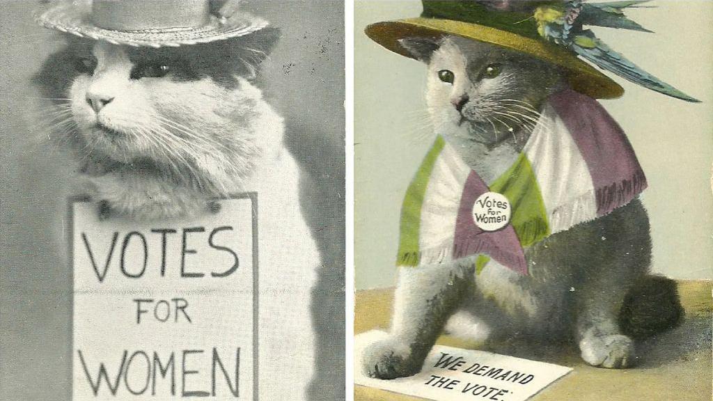 Gatos con carteles de "Votos para mujeres" y los colores de las sufragistas